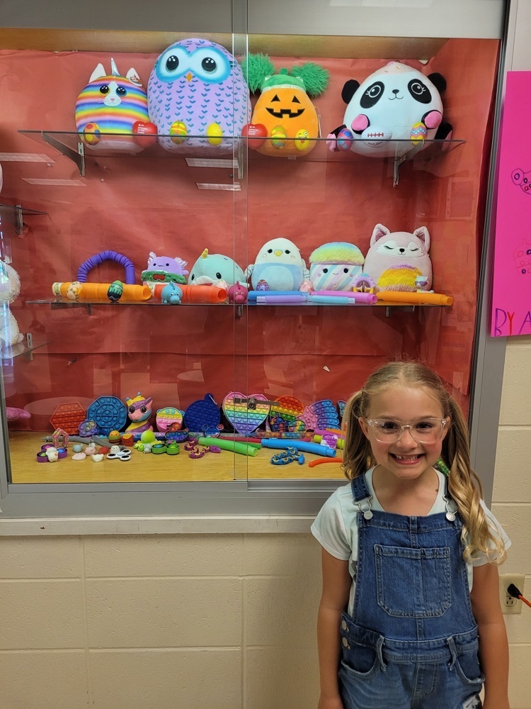 Live Feed Oostburg School District