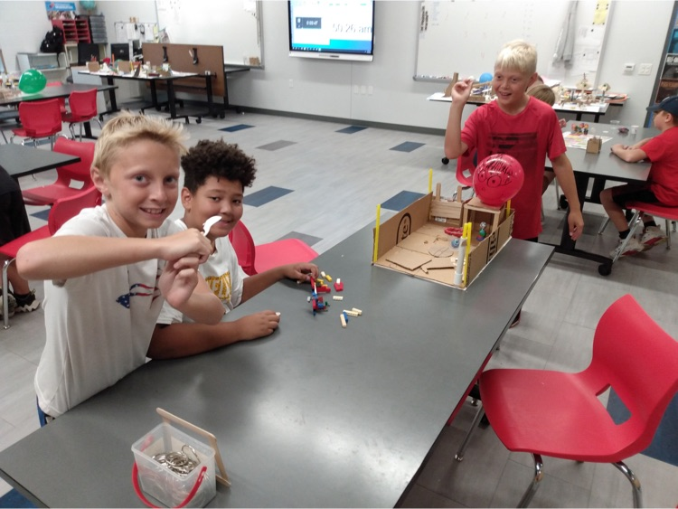 stem 7